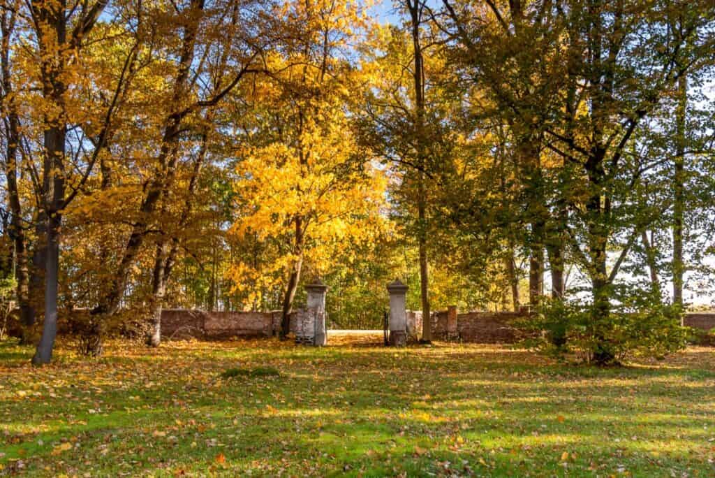 Wyjątkowy XIX w dwór Owczarnia - Sprzedane 00034