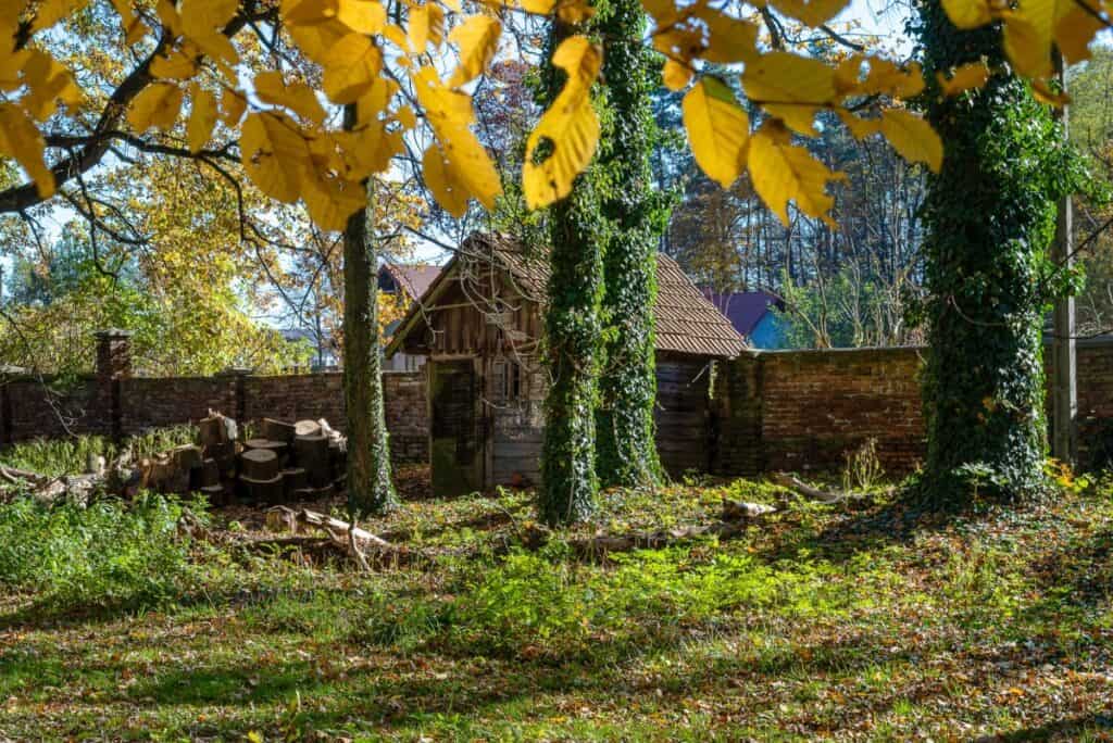 Wyjątkowy XIX w dwór Owczarnia - Sprzedane 00034