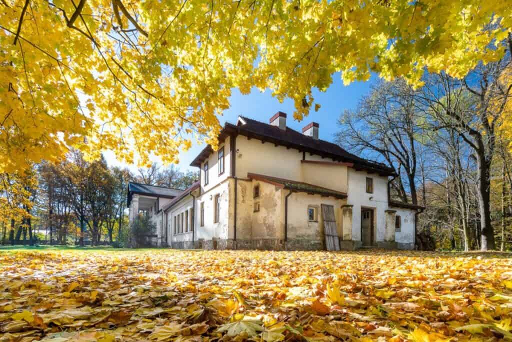 Wyjątkowy XIX w dwór Owczarnia - Sprzedane 00034