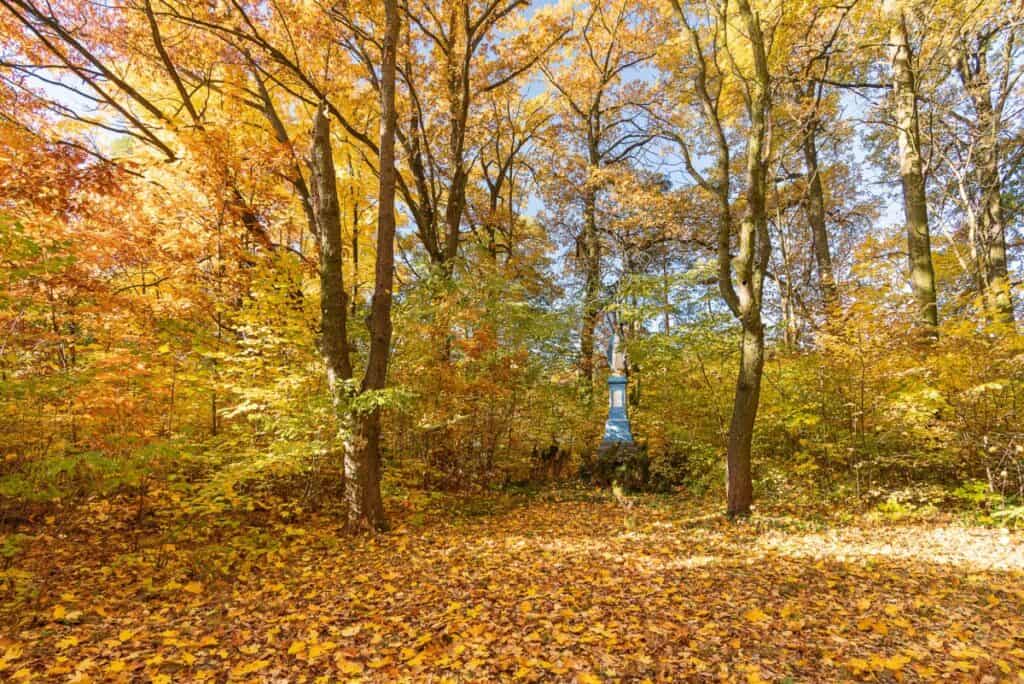 Wyjątkowy XIX w dwór Owczarnia - Sprzedane 00034