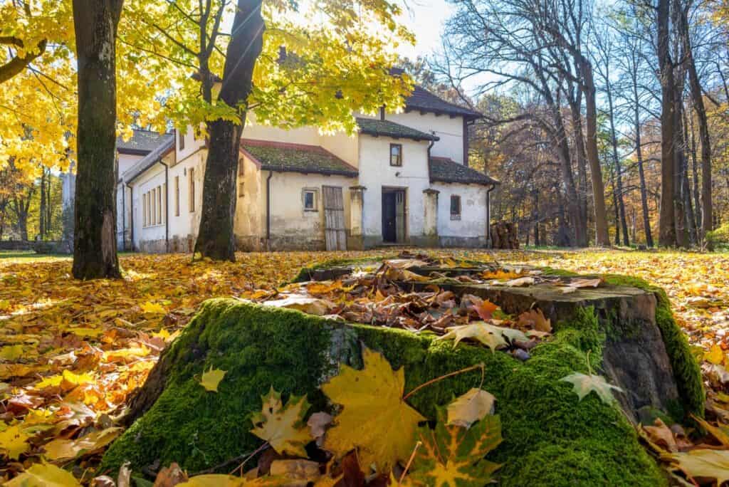 Wyjątkowy XIX w dwór Owczarnia - Sprzedane 00034